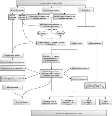 Multi-Omics Analysis Based on Genomic Instability for Prognostic Prediction in Lower-Grade Glioma